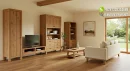 Sofa Minimalis Ruang TV Rumah Modern